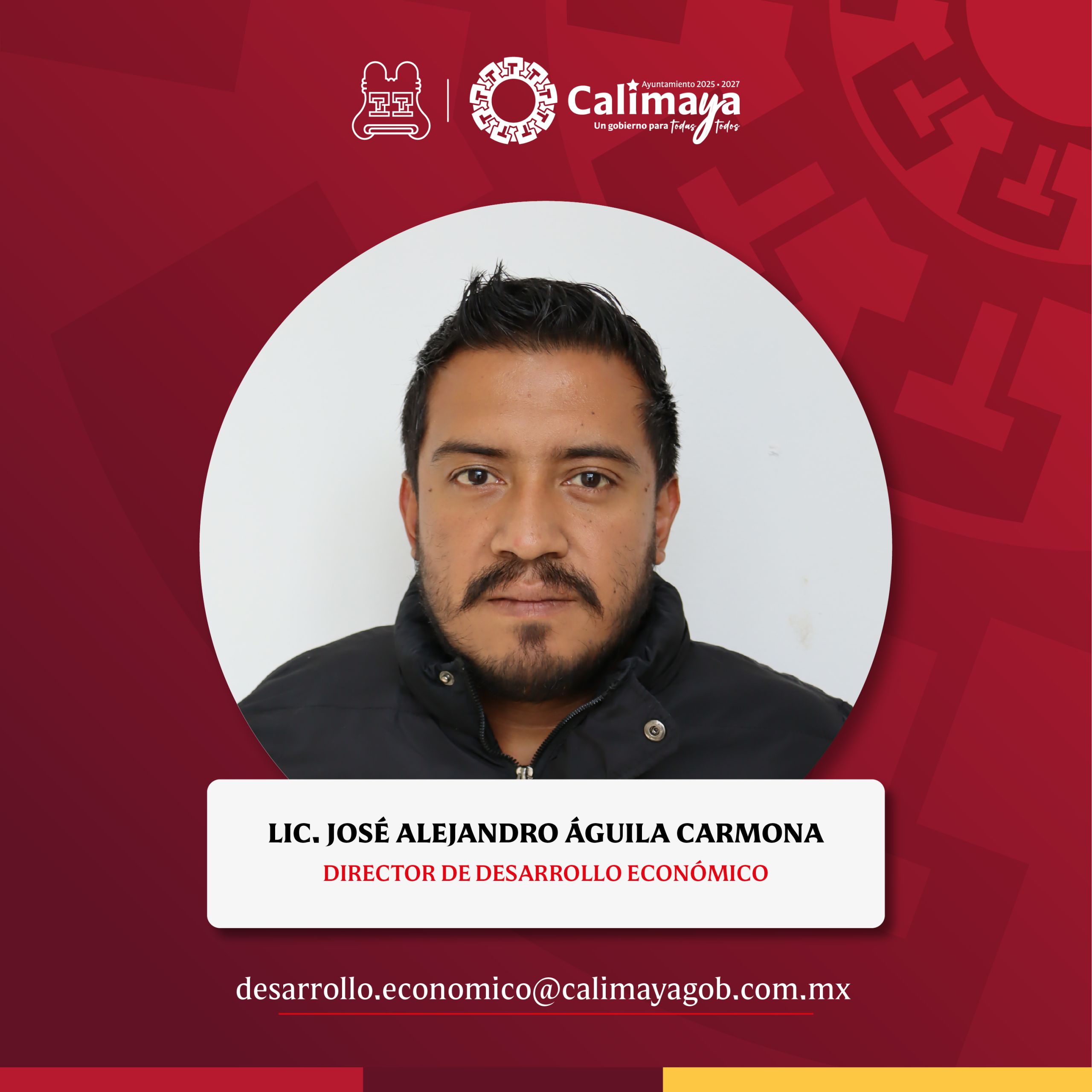Director Municipal