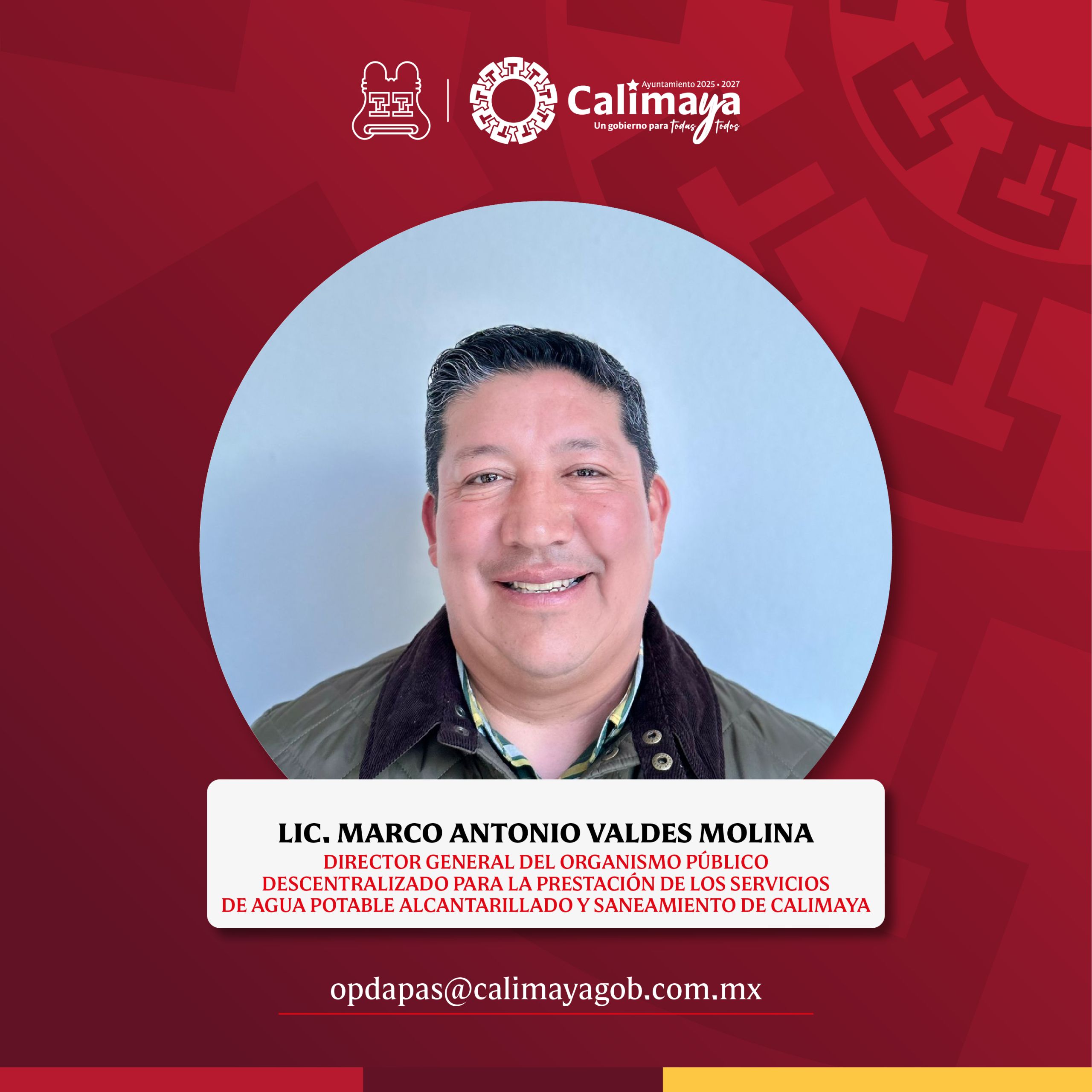 Director Municipal