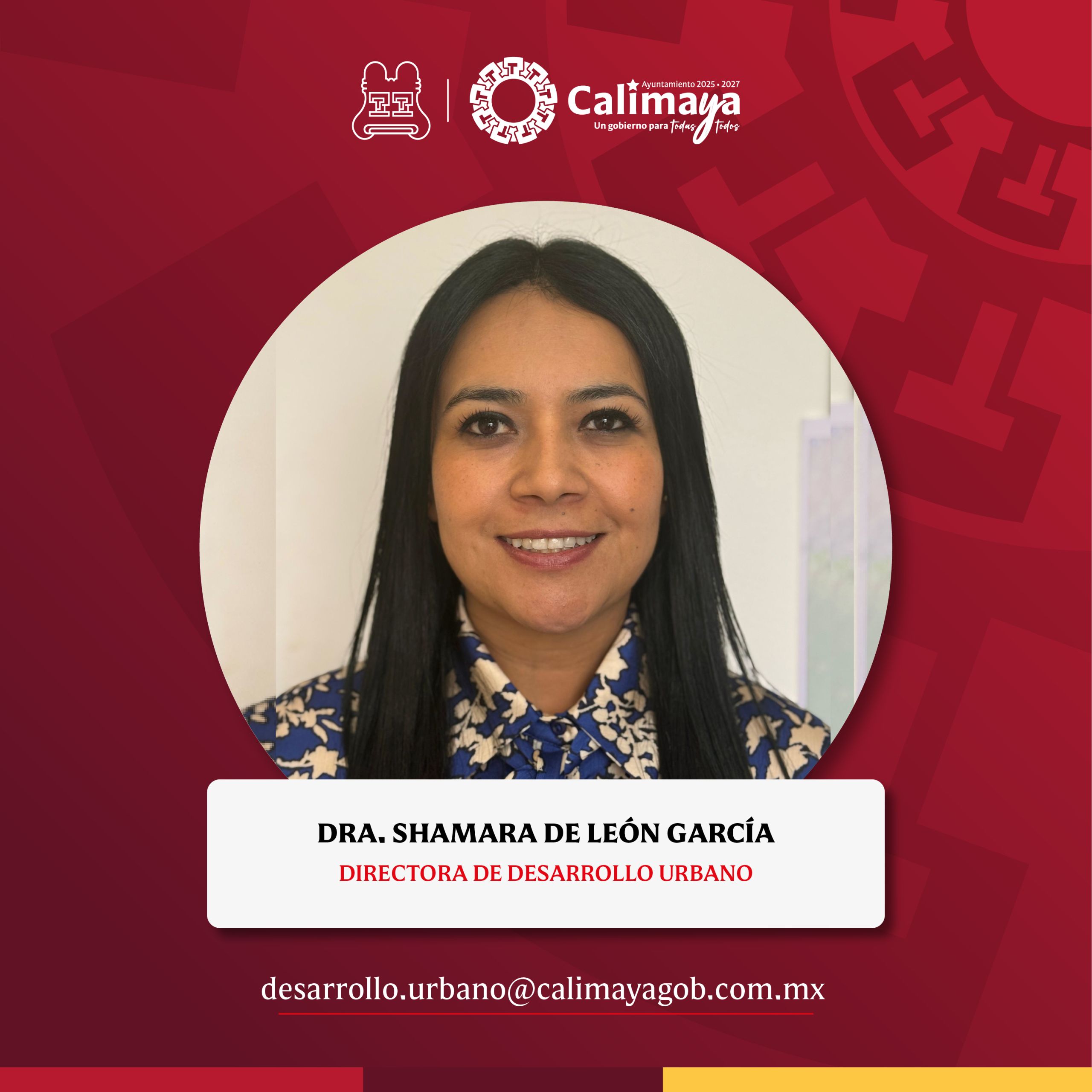 Director Municipal