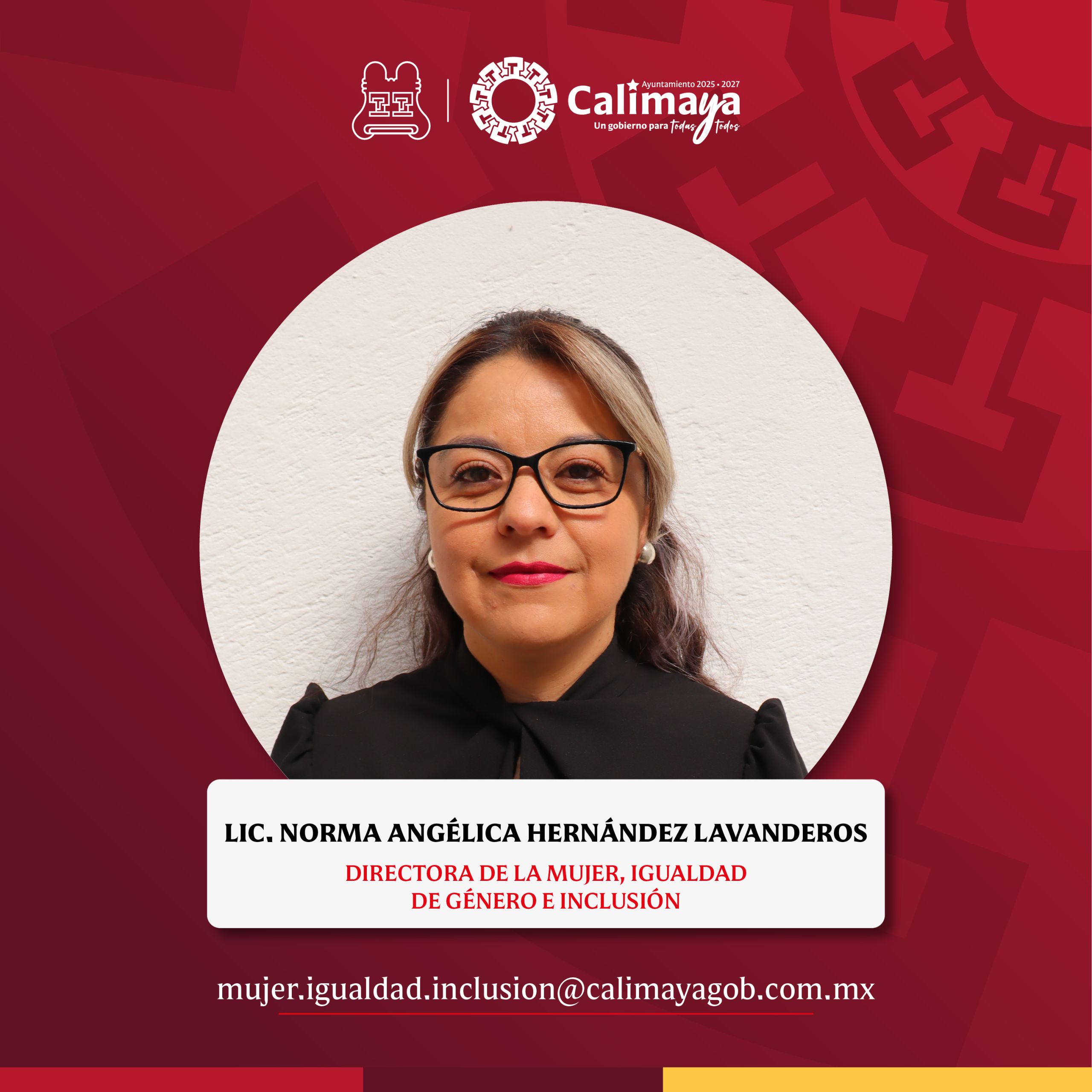 Director Municipal