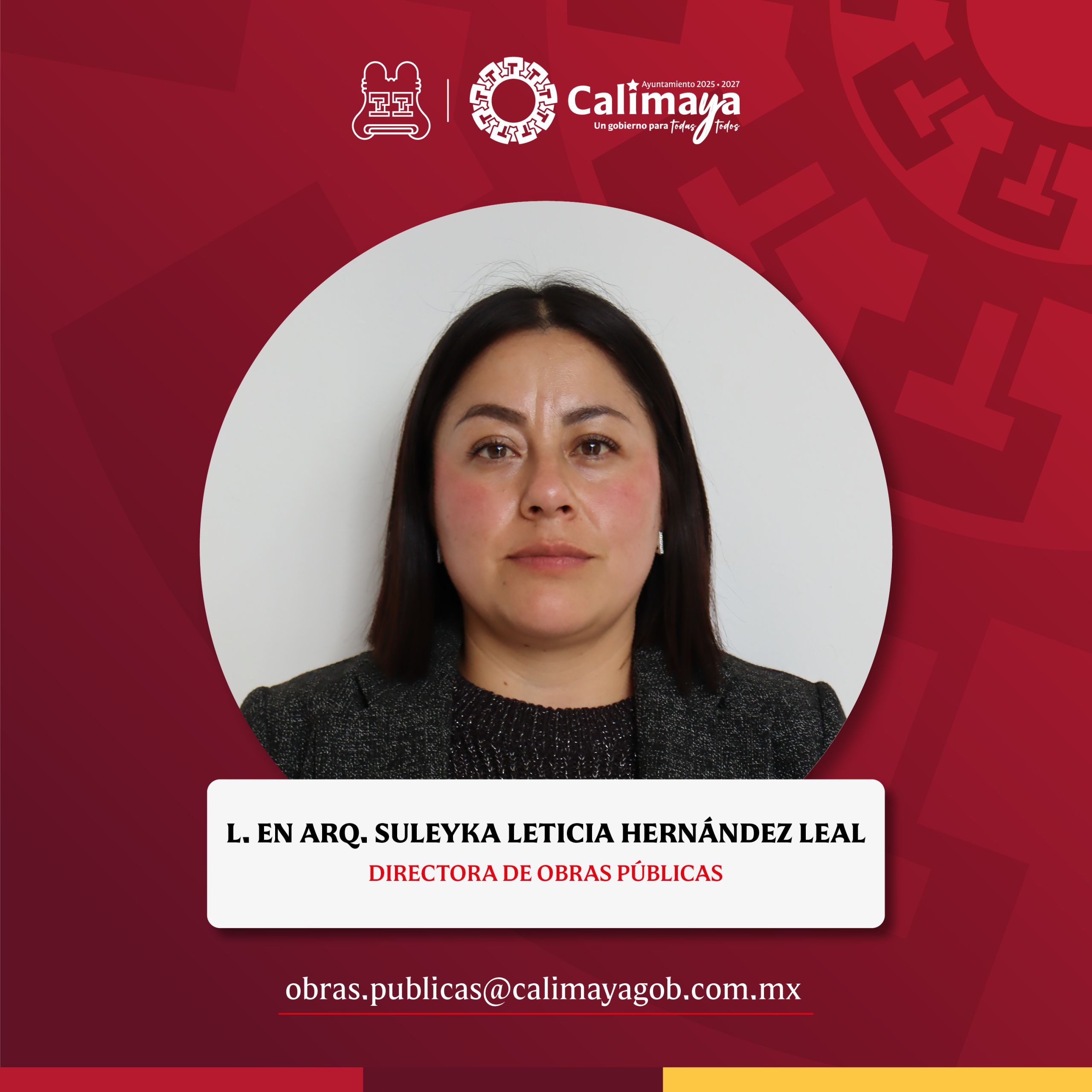 Director Municipal