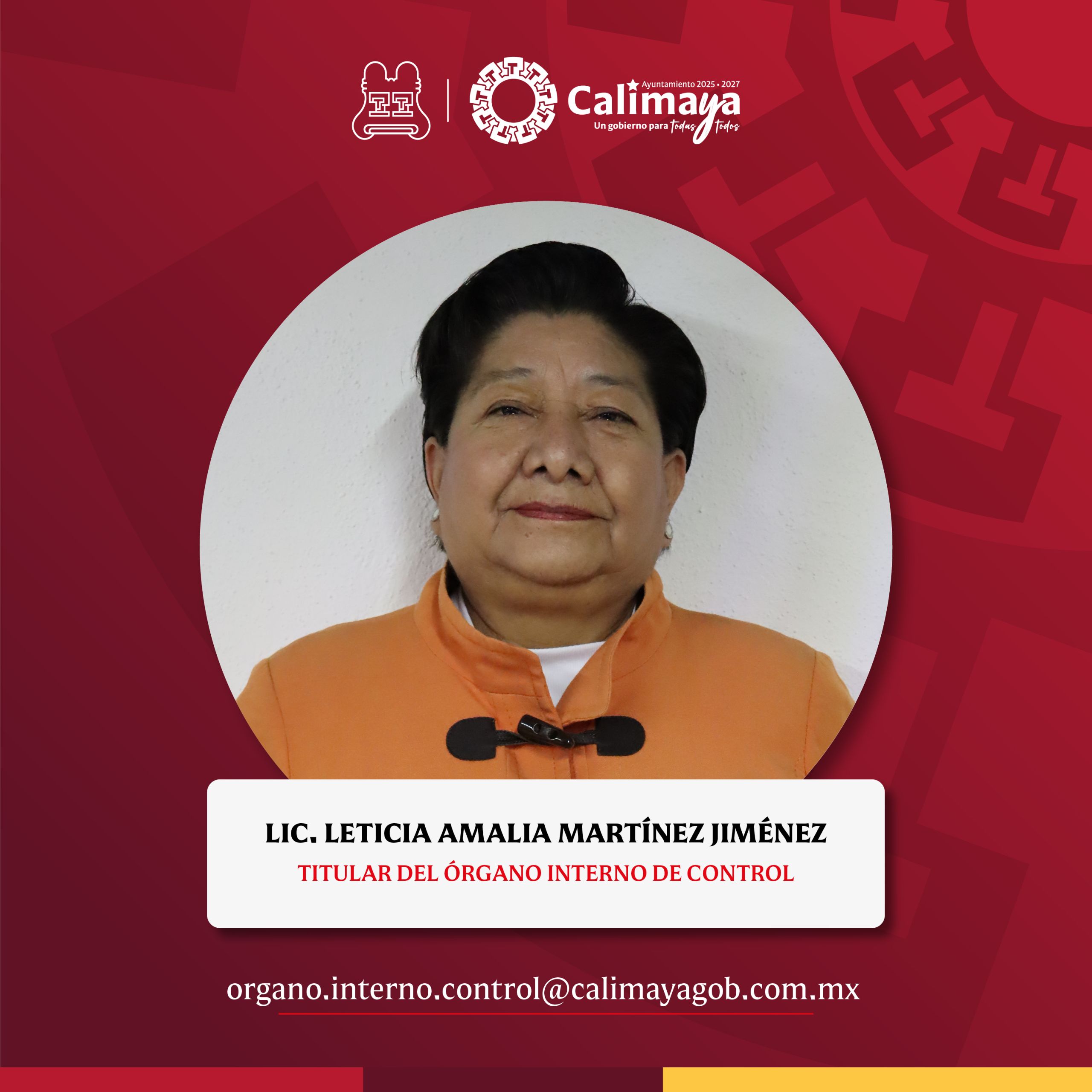 Director Municipal