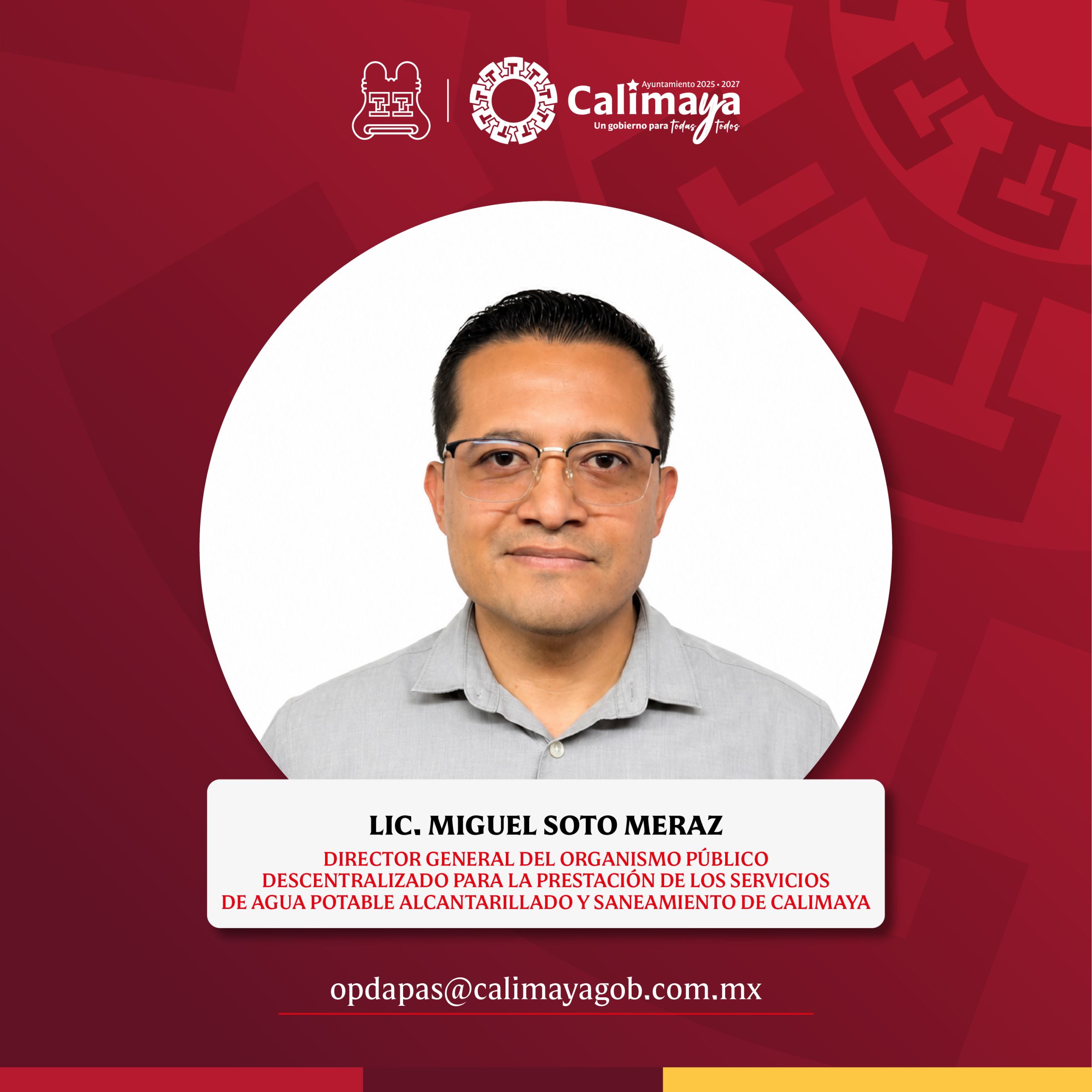 Director Municipal